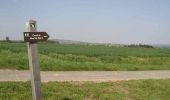 Tour Wandern Merris - Circuit du Mont de Merris - Photo 1