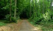 Trail Walking Viroflay - Les 3 Forêts; Meudon, Fausses Reposes et Versailles - Photo 1