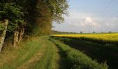 Trail Walking Mesnil-en-Ouche - Circuit des vallons d'Epinay  - Photo 1