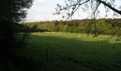 Tocht Mountainbike Mesnil-en-Ouche - Circuit des vallons d'Epinay  - Photo 3
