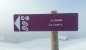 Randonnée Raquettes à neige Le Grand-Bornand - LaJoyere-Touillettes_3.7Km - Photo 4