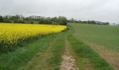 Tocht Stappen Mesnil-en-Ouche - Circuit des Bouleaux - Ste Marguerite en Ouche - Photo 5