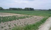 Tocht Stappen Bondues - Au départ de Bondues - Photo 4