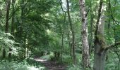 Trail Walking Montigny-en-Ostrevent - Circuit du bois de Montigny -  Montigny-en-Ostrevent - Photo 5