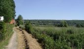 Tour Wandern Zutkerque - Sentier de la dame aux loups -  Zutkerque - Photo 3