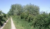 Tour Mountainbike Zutkerque - Sentier de la dame aux loups -  Zutkerque - Photo 1