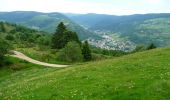 Tour Wandern Woll - Le Moutier des Fées - Photo 4