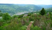 Tour Wandern Woll - Le Moutier des Fées - Photo 3