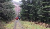 Trail Walking La Roche-en-Ardenne - Halleux 20 km - Photo 8