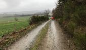 Tocht Stappen La Roche-en-Ardenne - Halleux 20 km - Photo 9
