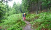 Trail Walking Sapois - La Cascade de la Pissoire - Photo 4