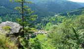 Trail Walking Le Valtin - Les Roches du Valtin et les Chaumes de Sérichamp - Photo 4