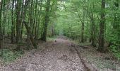 Trail Walking Broglie - Circuit du Prieuré - Broglie - Photo 4