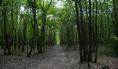 Trail Walking Paulhac - Le Bois de Buzet - Photo 2