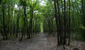 Randonnée Marche Paulhac - Le Bois de Buzet - Photo 2