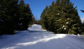Tour Schneeschuhwandern Aucun - Le Soum de Berducou - Photo 1