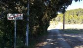 Trail Walking Lorgues - 20190128 Mentonne Est reco partielle - Photo 3