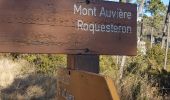 Trail Walking Pierrefeu - MONT AUVIERE - Photo 1