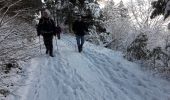 Trail Walking Moosch - 19.01.29.Mosch.Geishouse - Photo 3