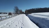 Excursión Deportes de invierno Sentheim - SentheimGuewenheimSki - Photo 5
