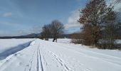 Trail Winter sports Sentheim - SentheimGuewenheimSki - Photo 6