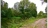 Trail Walking Belloy-sur-Somme - Circuit du bois d'Yseux - Belloy-sur-Somme - Photo 1