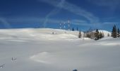 Randonnée Raquettes à neige Auris - Alpe d'Huez - Plateau Rochette - Photo 3