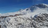 Tocht Sneeuwschoenen Auris - Alpe d'Huez - Plateau Rochette - Photo 2