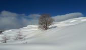 Percorso Racchette da neve Huez - Alpe d'Huez - Château du Roi Ladre - Photo 3