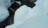 Tocht Sneeuwschoenen Auris - Alpe d'Huez - Gorges de La Sarenne - Photo 1