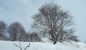 Tour Schneeschuhwandern Huez - Alpe d'Huez - Village d'Huez - Photo 5