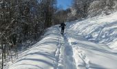 Randonnée Raquettes à neige Rencurel - 2019-02-04 Les Coulmes - Photo 7