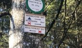 Trail Walking Wangenbourg-Engenthal - heidenschloss Freudeneck - Photo 6