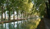 Trail Walking Caumont-sur-Garonne - Le Canal de Caumont à Fourques - Pays Val de Garonne - Gascogne - Photo 1
