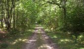 Randonnée Marche Le Mas-d'Agenais - Le Mas-d'Agenais, la Forêt - Pays Val de Garonne - Gascogne - Photo 1