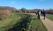 Trail Walking Montigny-le-Bretonneux - Moulin à Renard 07/02/2019 - Photo 10