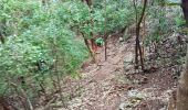 Trail Walking Anse-Bertrand - vigie-anse laborde avec ravine 3 vaches - Photo 1