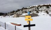 Tocht Sneeuwschoenen Aucelon - raquettes depuis Aucelon - Photo 1