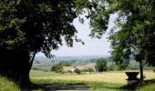 Randonnée Marche Sos - De Gueyze à Meylan, au fil de la Gueyze - Pays d'Albret - Photo 1