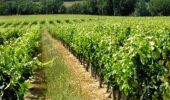 Randonnée Cheval Lannes - De Lannes à Mézin, le parfum de l'Armagnac-Ténarèze - Pays d'Albret - Photo 1