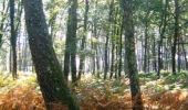 Trail Walking Réaup-Lisse - Lisse, aux portes de la forêt Landaise - Pays d'Albret - Photo 1