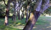 Tocht Stappen Sos - Meylan, balade entre pins et chênes - Pays d'Albret - Photo 1