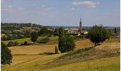 Tocht Mountainbike Baleyssagues - Baleyssagues, balade dans le vignoble de Duras - Pays du Dropt - Photo 1