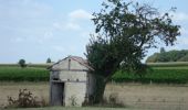 Randonnée Marche Lauzun - Lauzun, la boucle des églises de St-Macaire, Queyssel et St-Nazaire - Pays du Dropt - Photo 1