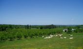 Tocht Paard Saint-Eutrope-de-Born - Born, un village fleuri - Pays du Dropt - Photo 1