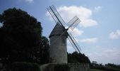 Randonnée Marche Montpezat - Montpezat-d'Agenais, le circuit du moulin à vent - Pays de la vallée du Lot - Photo 1