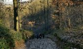Trail Walking Floreffe - Floreffe -Malonne - Photo 2
