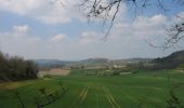 Trail Walking Tournon-d'Agenais - Tournon-d'Agenais, la bastide vue de la forêt du Verdus - Pays de la vallée du Lot - Photo 1