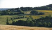 Trail Walking Villeneuve-sur-Lot - Villeneuve-sur-Lot / Courbiac, la Montagne de Cadrès - Pays de la vallée du Lot - Photo 1