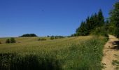 Trail Walking Buzet-sur-Tarn - Le Grand Bois - Buzet sur Tarn - Photo 1